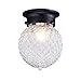 Truelite Industrial Antique Style Plantation Collection Flush Mount Ceiling Light Prismatic Glass Globe Light Fixtures