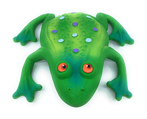 squeaky frog dog toy
