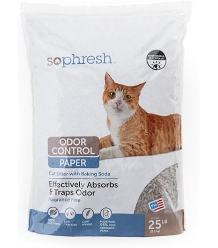 Amazon.com : Vibrant Life Natural Paper Pellets Cat Litter, 25 Lb Bag -  Unscented & 99% Dust-Free, Highly Absorbent Recycled Paper for Cats and  Small Pets ~ (Pack of 1). : Pet Supplies