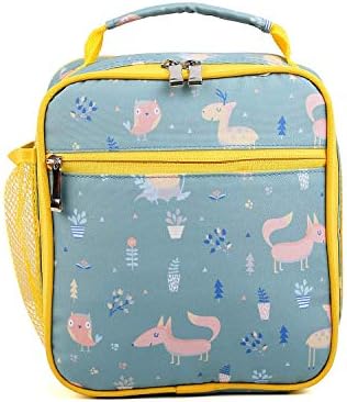 Kids Lunch Bag Insulated Package School Picnic Waterproof Lightweight Lunch Tote with Handle for Easy Carrying with Adjustable Strap