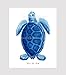 Gnosis Picture Archive Blue Sea Turtles Decor Art Prints Set of 4 Unframed Beach Coastal Decor Wall Art