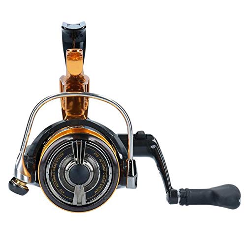 Daiwa 19 LAXUS 3000LBD Spinning Reel New | eBay