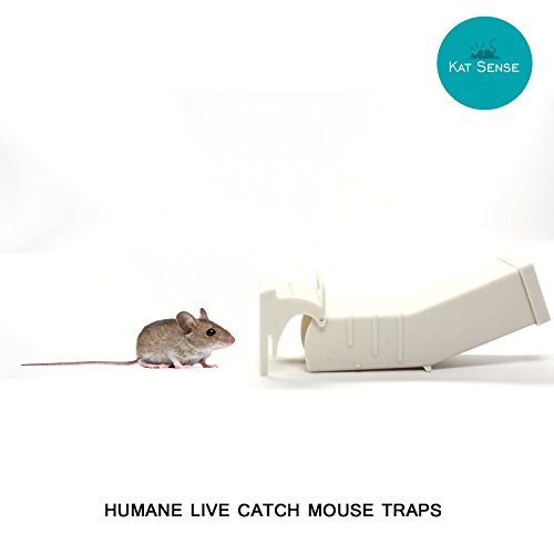 Humane Mouse Traps, Set of 3, Cruelty Free Live Catch Trap, Catch and Release eBay