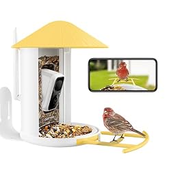 NETVUE Birdfy Lite- Smart Bird Feeder Camera, Bird