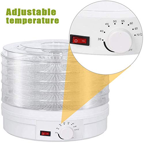 Food Dehydrator,5 Trays Fruit Vegetable Nuts Dryer, Temperature Preset Food Preserver for Fruits,Vegetable,Beef Jerky Maker - Thumbnail 5