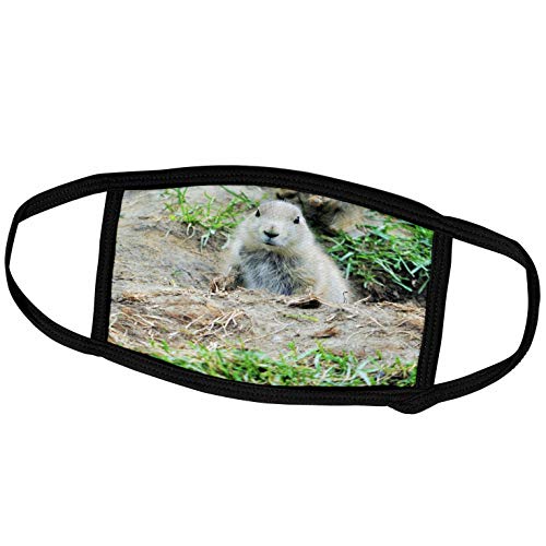 3dRose Face Cover Large, Curious Baby Prairie Dog