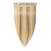 16 Human Hair Clip in hiGHLIGHT 18613