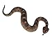 Safari Ltd Incredible Creatures Sidewinder Rattlesnake