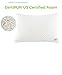 NapYou Official Best Pillows for Sleeping (2 Pack Queen) Shredded Certipur Memory Foam Pillow with Unique and Luxury Pillow Cover Design for Ultimate Breathability Made with Organic Cotton