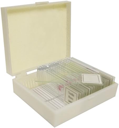 Walter Products B17123 Prepared Slide Set-Parts of Insect (Pack of 12)