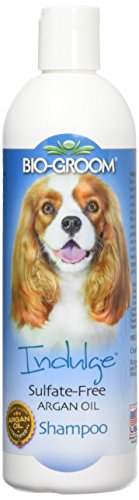 Bio-Derm Laboratories BI29912 Indulge Argan Oil Shampoo