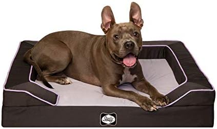 Sealy Dog Bed Lux Lavender Dog Bed | Lavender Infused Memory Foam top with Orthopedic Foam Base, Machine Washable Bottom, Medium