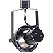 Direct-Lighting 50005 Black PAR30 Short Neck Gimbal Ring Line Voltage Track Lighting Head