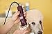 Andis AGC Super 2-Speed Clippers for Pets with 10 Blades, 220-Volt