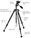 Vortex Optics Summit SS-P Tripod