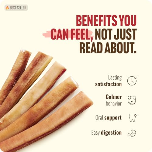 Natural Farm Extra-Thick 12-Inch Beef Bully Sticks Dog Chews (10-Pack) - Odor-Free Dental Treats for Dogs