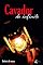 Livro O Cavador do Infinito