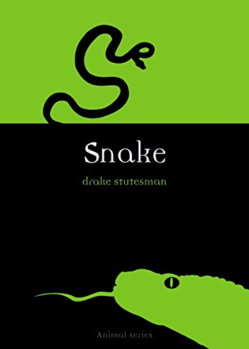 Snake (Animal) by Drake Stutesman
