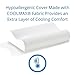 ViscoSoft Hypoallergenic Memory Foam Queen Arctic Gel Contour Pillow with Removable Cover