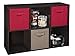 ClosetMaid 78815 Cubeicals Organizer, 6-Cube, Espresso