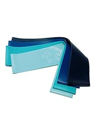 MTCO. Resistencia bucle bandas de ejercicio para casa Fitness, Yoga, Pilates, Terapia, estiramiento   Juego de 4, 12 inch con guía de instrucciones libro, bolsa de transporte