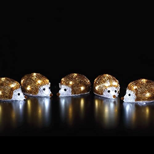 Noma Acrylic Hedgehog Light String : Array of 5 : Plug in : 12cm : 40 LED : 6921007
