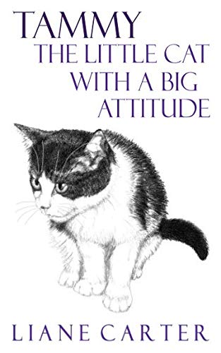 Tammy The Little Cat With A Big Attitude