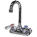 4" Wall Mount NSF Hand Sink Faucet with 3-1/2" Gooseneck Spout AA-410