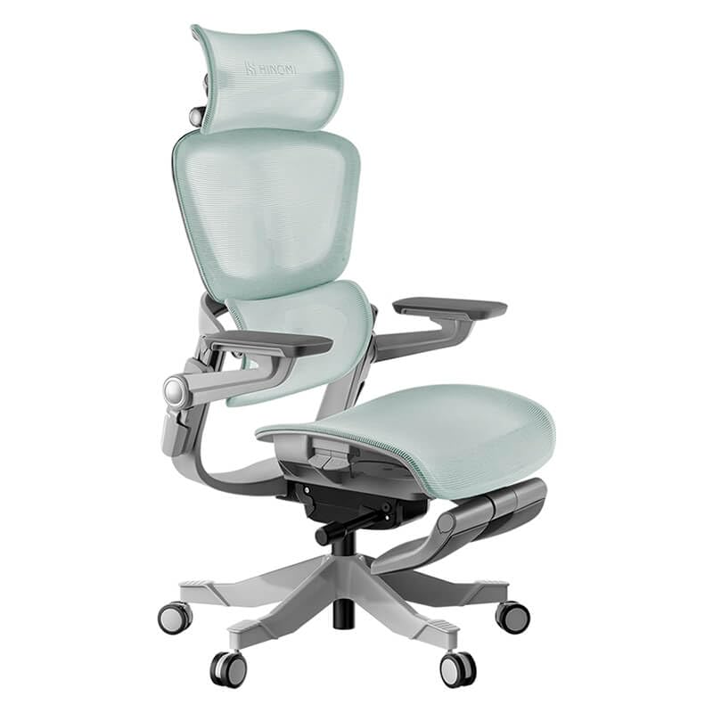 Mua HINOMI H1 Pro 3D Lumbar Support Ergonomic Office/Gaming Chair - 5D ...