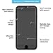 BodyGuardz - Pure Glass Screen Protector, Ultra-Thin Tempered Glass Screen Protection for iPhone 7/8 Plus
