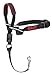 HALTI Optifit Headcollar - To Stop Your Dog Pulling on the Leash. Adjustable, Reflective and Lightweight, with Padded Nose Band. Dog Training Anti-Pull Collar for Small Dogs (Size Small)