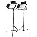 Fovitec StudioPRO - 2x Daylight 900 LED Panel Bundle w/ Barndoors & Stands - [Continuous][Adjustable Lighting][V-Lock Compatible]