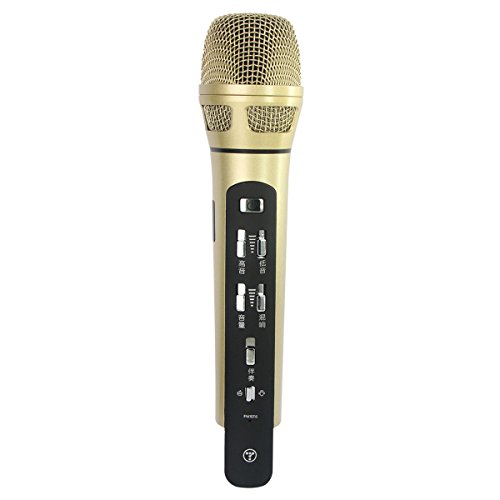 Tuxun K9 Car Wireless Karaoke Microphone Handheld KTV Microphone FM