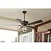 Merrimack 52-in Antique Bronze Downrod Mount Indoor/Outdoor Ceiling Fan with Light Kit and Remote