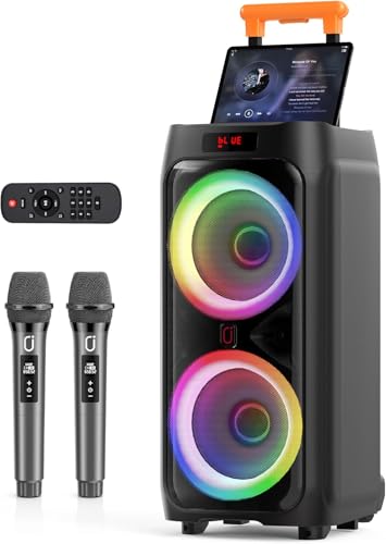 HWWR Karaoke Maschine mit 2 Mikrofonen, All-in-One Karaoke Anlage mit 5,25" Tieftöner, Echo-Anpassung, kräftigem Bass, Karaoke-Modus, TWS, TV & Gitarrenanschlus
