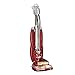Old World Christmas Ornaments: Upright Vacuum Glass Blown Ornaments for Christmas Tree 4.25 X 1.25 X 1.25
