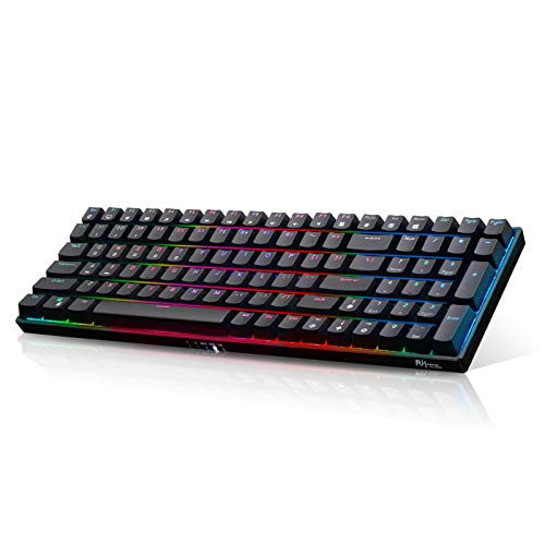 RK ROYAL KLUDGE RK100 2.4G 
