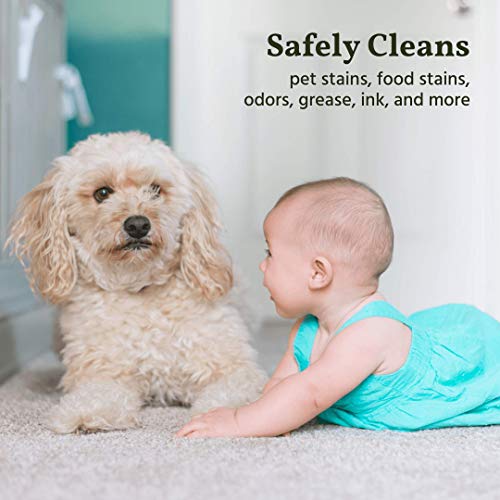 4 Naturally+Its+Clean+Spot+Treat+deodorizes