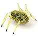 HEXBUG Scarab XL - Assorted Colors