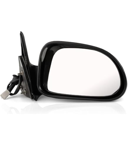 Amazon.com: For Dodge Dakota 1997 1998 1999 2000 Door Mirror