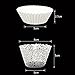 BAKHUK 100Pcs White Lace Cupcake Wrappers Cupcake Liners and 200Pcs White Baking Paper Cups Muffin cups for Wedding, Birthday, Party etc.
