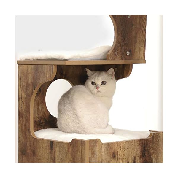 cat tree medium