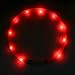 ITERY Dog Collar, Led USB Rechargeable Pet Safety Collar Waterproof Light up Adjustable Flashing Collar (Red)