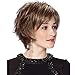 QianBaiHui Short Brown Wigs for White Women Fluffy Brown Mixed Gray Bob Hair Wigs with Bangs Heat Resistant Synthetic Hair Wig + Wig Cap LDS008