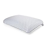 Sealy Essentials Cool Touch Memory Foam Pillows, 1