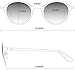 WearMe Pro Classic Small Round Retro Sunglasses, Tortoise Frame / Mirror Orange/Red Lens