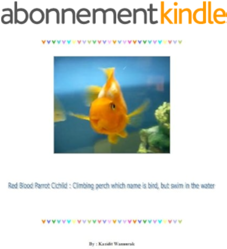 Download Red Blood Parrot Cichlid : Climbing perch which name is bird, but swim in the water (English Edition) PDF