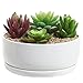 MyGift 6 Inch Round White Ceramic Planter Bowl with Drainage Hole and Removeable Drip Tray, Modern Indoor Plant Pot, Succulent Flower Cactus Plant Container (Plants not Included)