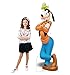 Goofy - Disney - Life-Size Standup Poster , 33x67