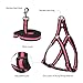 ColPet Dog Leash Harness Adjustable & Heavy Duty Durable Neoprene Dog Leash Collar with Elastic Leash for Training Walking Running, Best for Small Medium Dog, Small, Pink